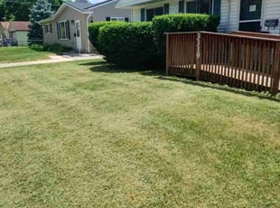 Mark K.'s Grass Cutting service result