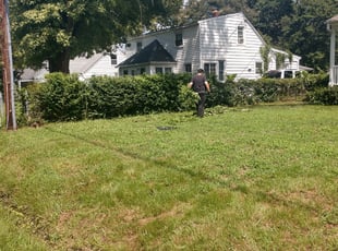 Bush Trimming by William Mende for Joseph J. in Hampton, VA