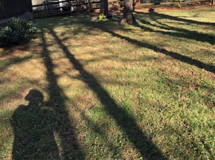 Leaf Removal by James Mullins for Melissa O. in Charlotte, NC