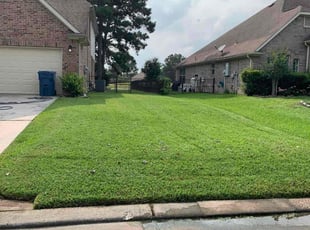 Nancy W.'s Lawn Mowing service result
