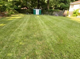 "Larry W.'s Lawn Mowing Service service result