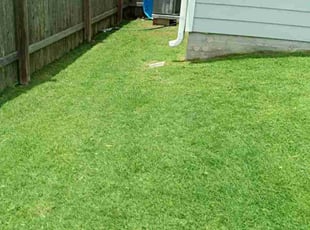 Baron M.'s Lawn Mowing service result