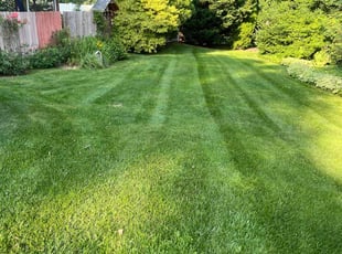 Scott C.'s Lawn Mowing service result