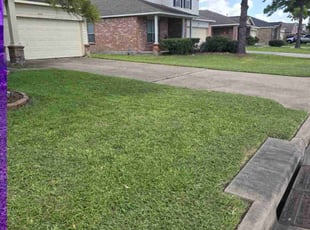 Kaitlin G.'s Lawn Mowing service result