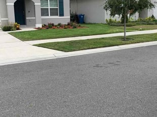 Lawrence S.'s Lawn Service service result