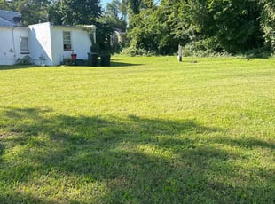 Peter B.'s Lawn Maintenance service result