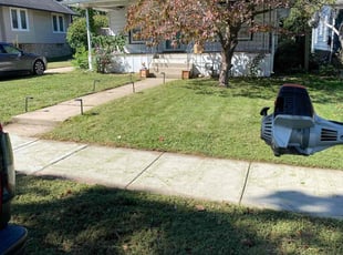 Marie D.'s Grass Cutting service result