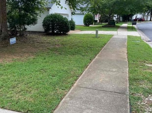 Douglas M.'s Grass Cutting service result