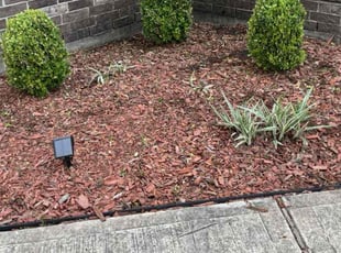 Bush Trimming by Roberto Pena for Richard R. in Spring, TX