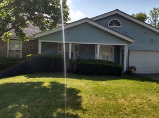 Bush Trimming by Philip Moreshead for Karey D. in Florissant, MO