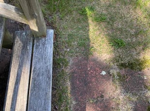 Leaf Removal by Kevin Hunter for Harold C. in Yarmouth, MA