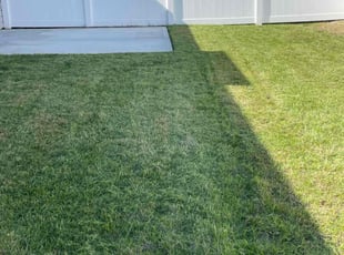 Celeste N.'s Lawn Mowing service result