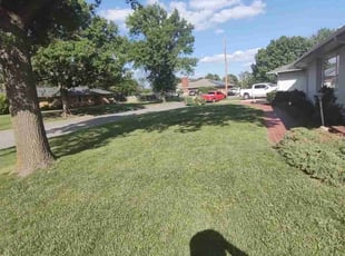 Taylor H.'s Lawn Mowing service result