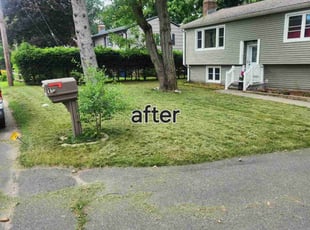 Hany s.'s Lawn Care service result