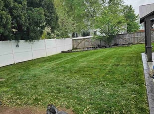 Byron E.'s Lawn Care service result
