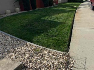 Terry B.'s Lawn Mowing service result