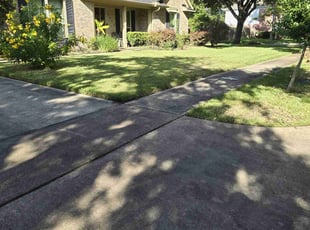 Nicholas W.'s Yard Cutting service result