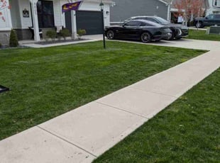 Andrea M.'s Grass Cutting service result