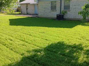 Mike M.'s Lawn Mowing service result