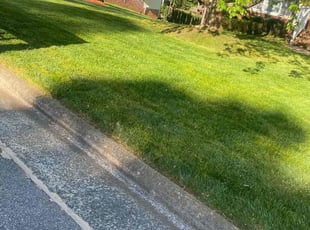 Matt D.'s Lawn Service service result