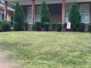 Bush Trimming by Cordarius Bush for Keesa M. in Memphis, TN