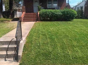 Jacqueline B.'s Lawn Care service result