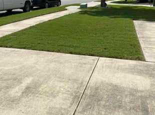 Anthony B.'s Lawn Mowing Service service result