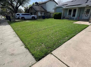 Donald S.'s Lawn Service service result