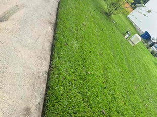 Peter B.'s Lawn Care service result