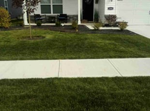 Katelia R.'s Yard Cutting service result