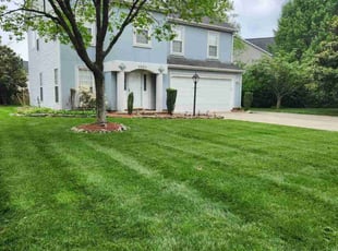 Vivek C.'s Lawn Mowing service result