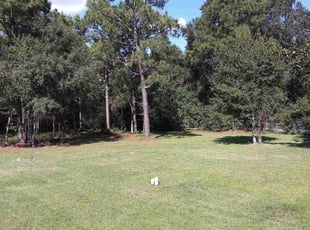 Darlene C.'s Lawn Care service result