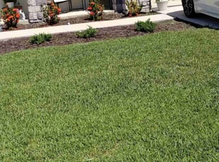 Jake F.'s Grass Cutting service result