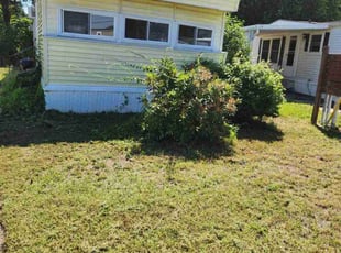 Lyndon T.'s Lawn Mowing service result