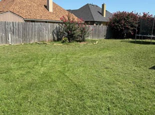 Shawn T.'s Lawn Mowing service result