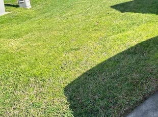 Sandra R.'s Yard Cutting service result