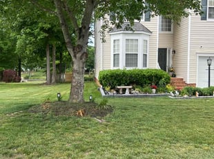 Yomara M.'s Lawn Care service result