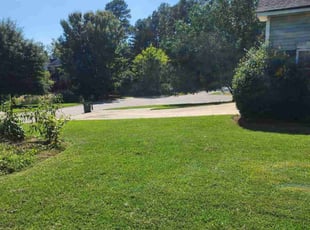 Roxie W.'s Lawn Care service result