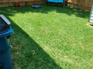 Jaime G.'s Lawn Mowing service result