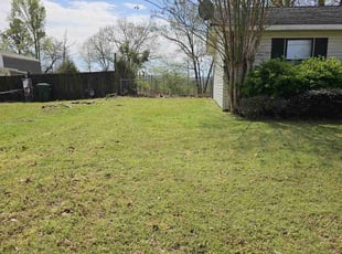 Randolph J.'s Yard Cutting service result