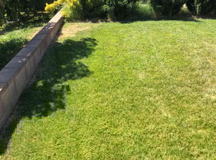 Nicole B.'s Lawn Service service result