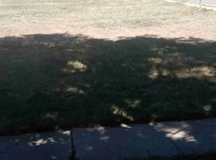 Cleanups by Andrew Ledbetter for Nicholas P. in Denver, CO