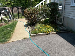 Bush Trimming by Juan Francisco Amaya for Mary B. in Pasadena, MD