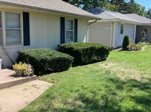 Bush Trimming by Brandon McDonald for Mona C. in Springfield, MO