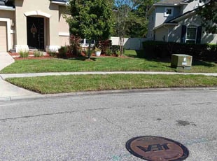 Damaris M.'s Yard Cutting service result
