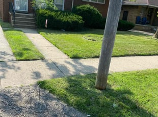 Alice L.'s Lawn Service service result