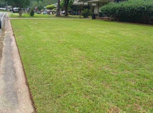 Djara I.'s Grass Cutting service result