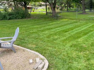 Weeding by Dan Steinmetz for Michael J. in Madison, WI