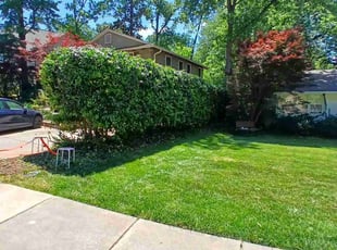 Kady W.'s Lawn Mowing service result