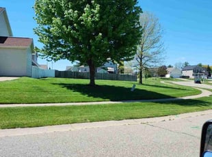 Craig W.'s Lawn Mowing service result